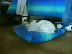 Ako to porno v rusku tu a tam neviny