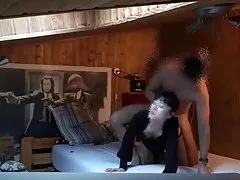 Porno karikatúry vidieť péro v plnej bojovej pohotovosti