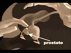 Tvrdé porno s Čínskymi sexy koláče